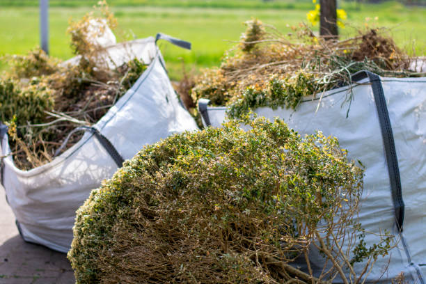 Best Attic Cleanout Services  in Greensboro, GA